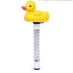 Swimming Pool Thermometer